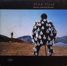 Виниловая пластинка Pink Floyd - Delicate Sound Of Thunder /NL/ 2LP